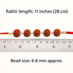 Sterling Silver 5 Rudraksha Rakhi