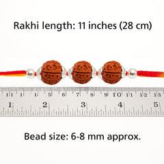Sterling Silver 3 Rudraksha Rakhi