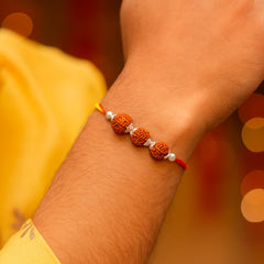 Sterling Silver 3 Rudraksha Rakhi