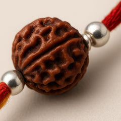 Sterling Silver Single Rudraksha Rakhi